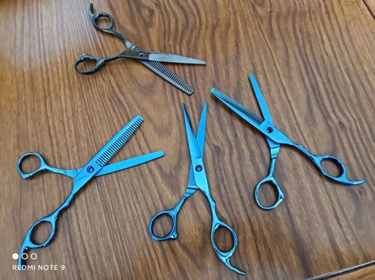 자동 스테인리스 스틸 PVD 코팅 생산 라인 (경쟁력 있는 가격)